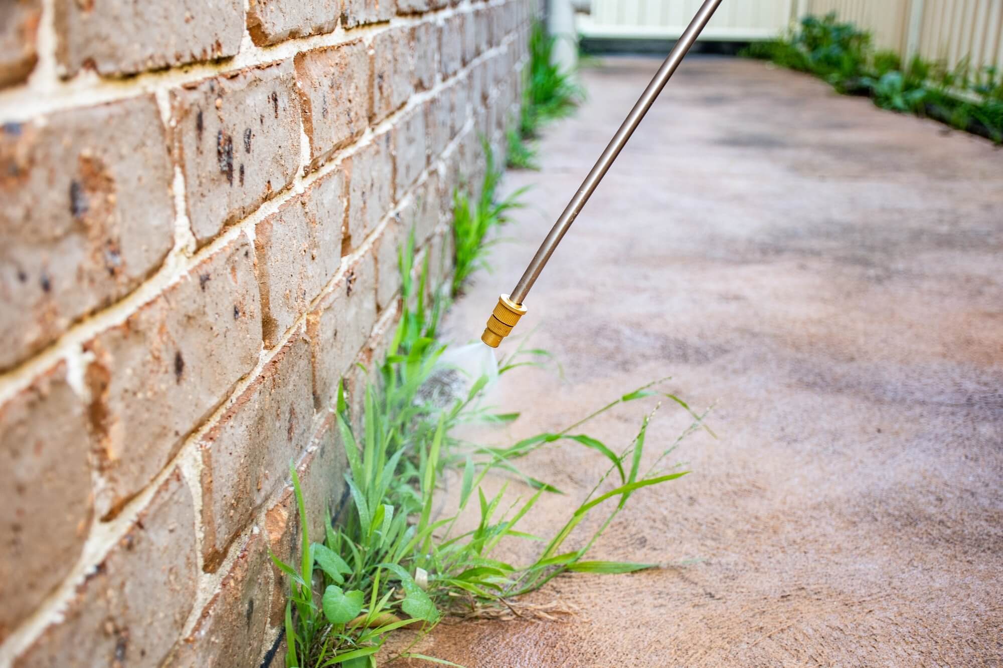 Peak Pest Control technician applying a targeted exterior treatment